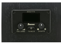 Ibanez AEG621BOT Black Out Ibanez AEG621BOT Black Out
